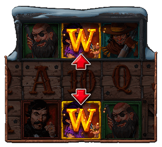 WILD TRANSFORM